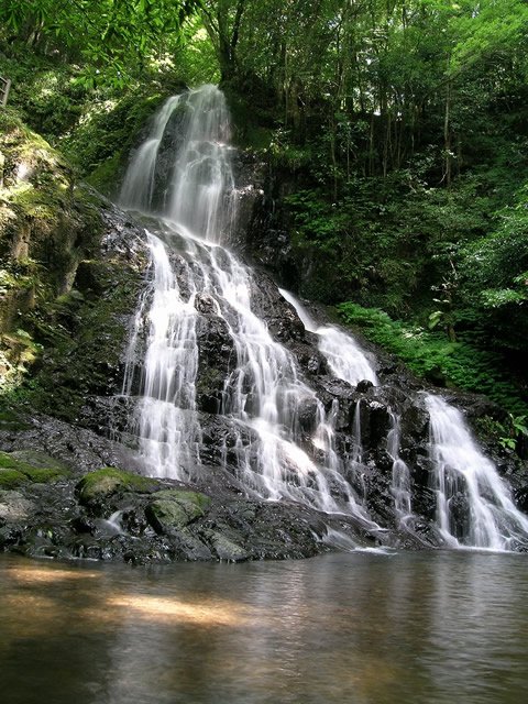 🏞️ 백사 폭포 (아키요시 시라이토노타키)